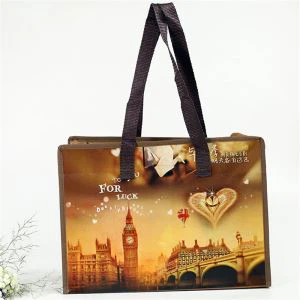 ถุงผ้าไม่ทอซิปใช้ทั่วไปทำให้ชีวิตคุณสะดวกยิ่งขึ้น