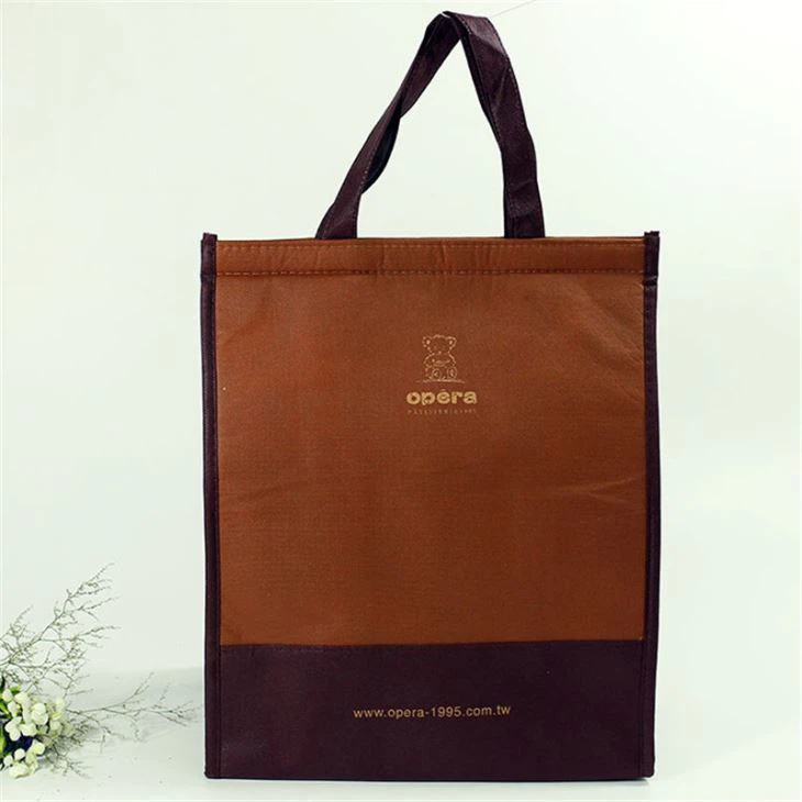 ถุงเก็บความเย็นหรือถุงน้ำแข็งหุ้มฉนวนอย่างนุ่มนวลสามารถเก็บอาหารให้สดในช่วงเวลาหนึ่งได้