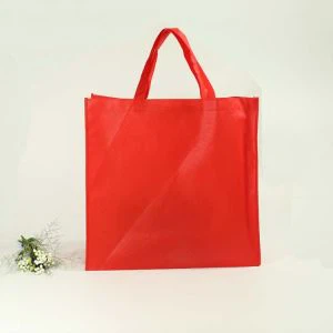 ถุงโปรโมชั่นถุงบรรจุไม่ทอเปล่า 80 กรัม